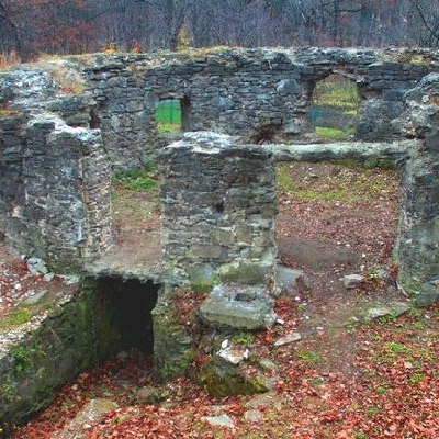 На Прикарпатті руїни замку перетворять на туристичний обєкт.jpg