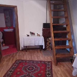На сайт Дзембелики_0-02-05.jpg