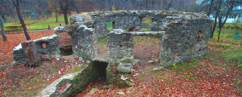 На Прикарпатті руїни замку перетворять на туристичний об’єкт