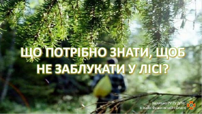 ЩО НЕОБХІДНО ЗНАТИ, ШОБ НЕ ЗАГУБИТИСЯ У ЛІСІ