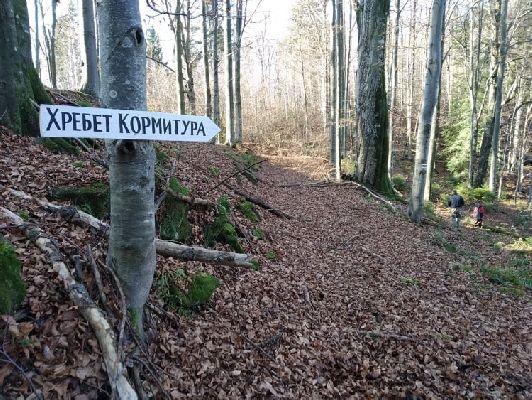 На Прикарпатті проклали нову туристичну стежку “Хребтом Кормитура”. ФОТО